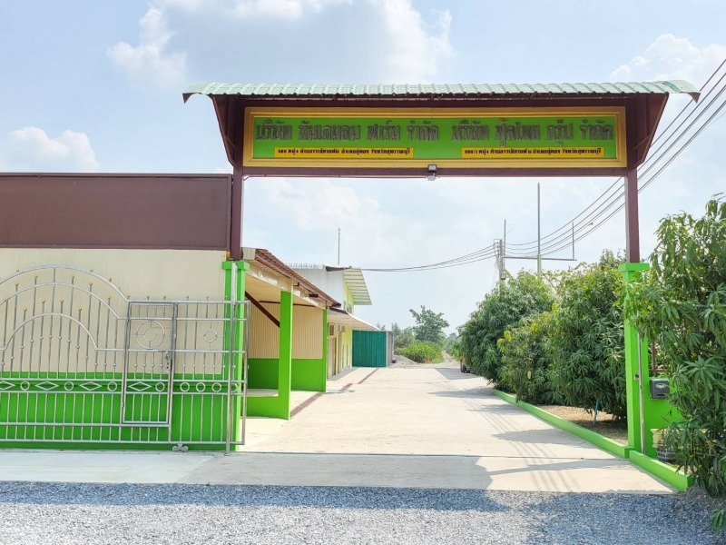 โรงงานน้ำมะนาว